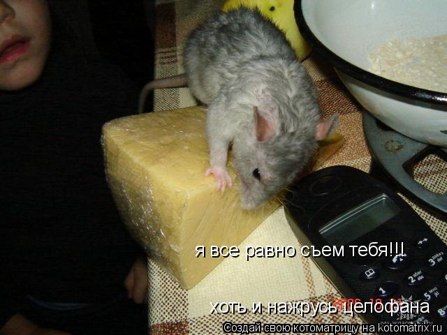 я все равно съем тебя!!! хоть и нажрусь целофана... Котоматрица: я все равно съем тебя!!! хоть и нажрусь целофана