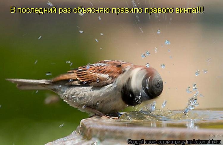 Котоматрица: В последний раз объясняю правило правого винта!!! В последний раз объясняю правило правого винта!!!