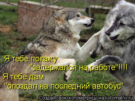 Котоматрица: Я тебе покажу  "задержался на работе"!!!! Я тебе дам  "опоздал на последний автобус"