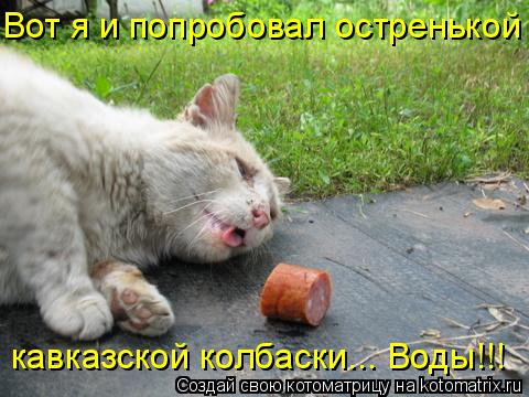 Вот я и попробовал остренькой кавказской колбаски... Воды!!!... Котоматрица: Вот я и попробовал остренькой кавказской колбаски... Воды!!!