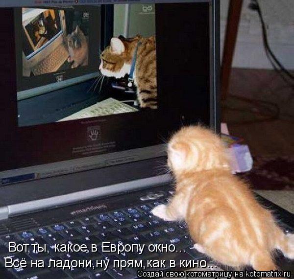 Вот,ты, какое в Европу окно... Всё на ладони,ну прям,как в кино...... Котоматрица: Вот,ты, какое в Европу окно... Всё на ладони,ну прям,как в кино...