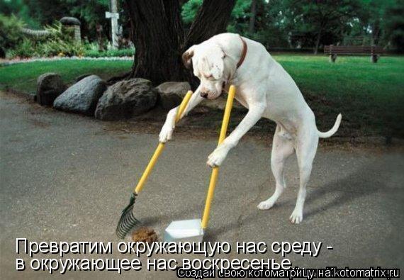 Котоматрица: Превратим окружающую нас среду - в окружающее нас воскресенье...
