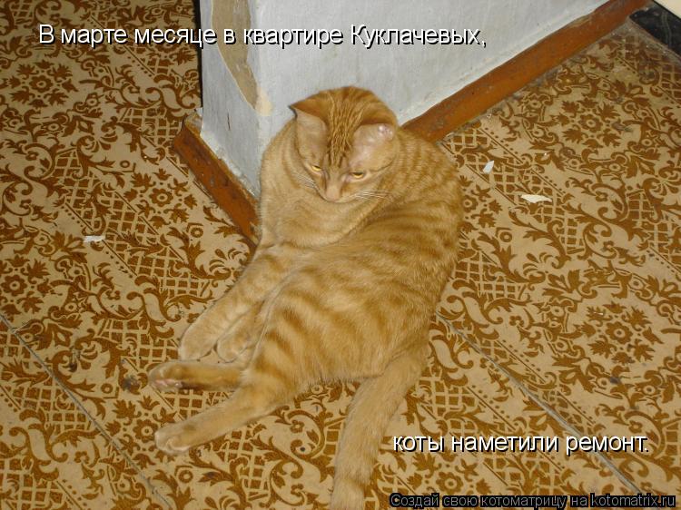 Котоматрица: В марте месяце в квартире Куклачевых, коты наметили ремонт.