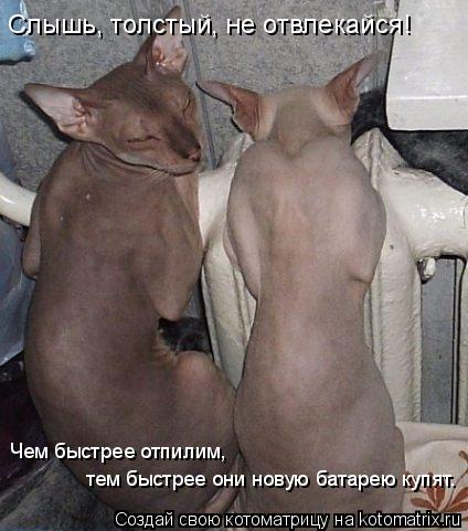 Слышь, толстый, не отвлекайся! Чем быстрее отпилим, тем быстрее они новую батарею купят.... Котоматрица: Слышь, толстый, не отвлекайся! Чем быстрее отпилим, тем быстрее они новую батарею купят.
