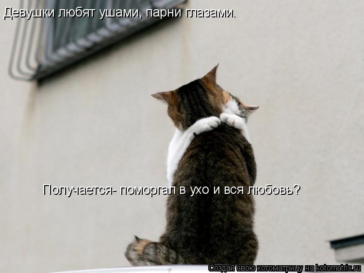 Девушки любят ушами, парни глазами. Получается- поморгал в ухо и вся любовь?... Котоматрица: Девушки любят ушами, парни глазами. Получается- поморгал в ухо и вся любовь?