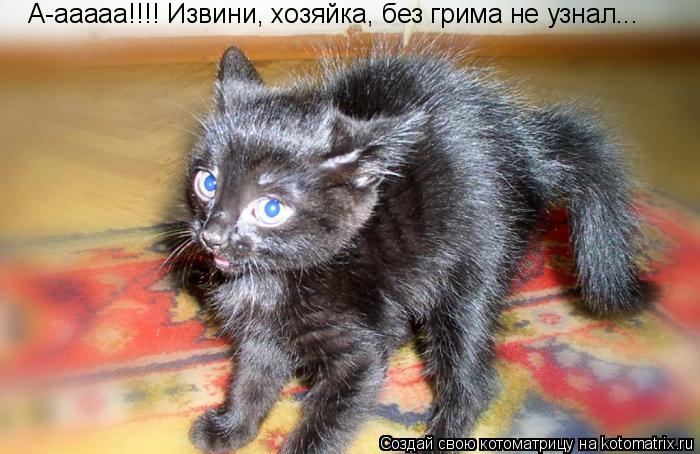 А-ааааа!!!! Извини, хозяйка, без грима не узнал...... Котоматрица: А-ааааа!!!! Извини, хозяйка, без грима не узнал...