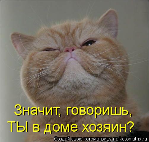 Значит, говоришь, ТЫ в доме хозяин?... Котоматрица: Значит, говоришь, ТЫ в доме хозяин?