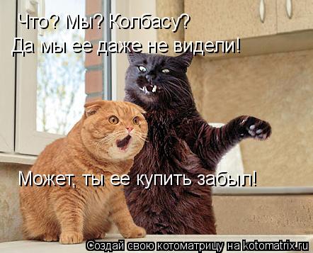 Котоматрица: Что? Мы? Колбасу?  Да мы ее даже не видели! Может, ты ее купить забыл!
