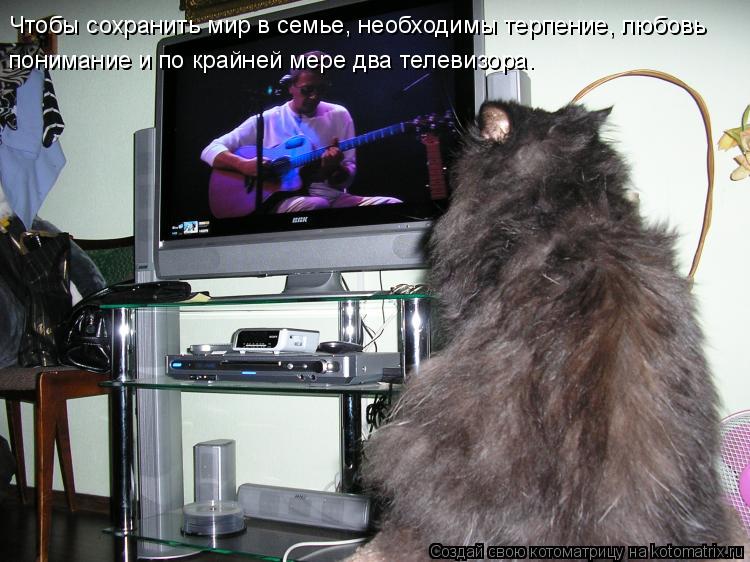 Чтобы сохранить мир в семье, необходимы терпение, любовь понимание и по крайней мере два телевизора.... Котоматрица: Чтобы сохранить мир в семье, необходимы терпение, любовь понимание и по крайней мере два телевизора.