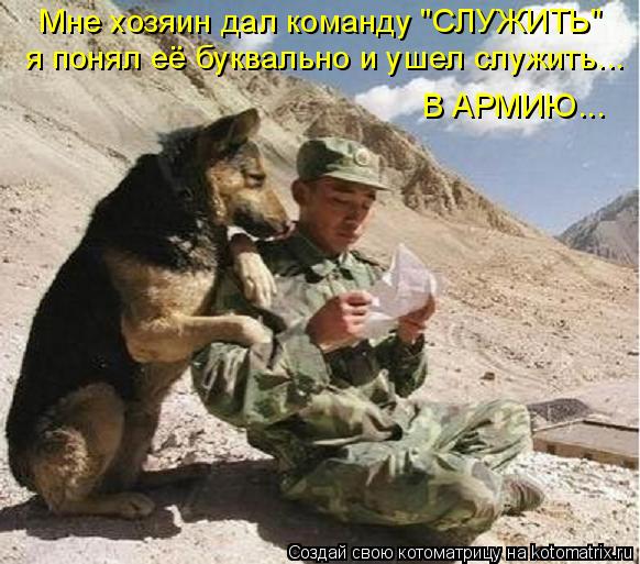 Котоматрица: Мне хозяин дал команду "СЛУЖИТЬ" я понял её буквально и ушел служить... В АРМИЮ...