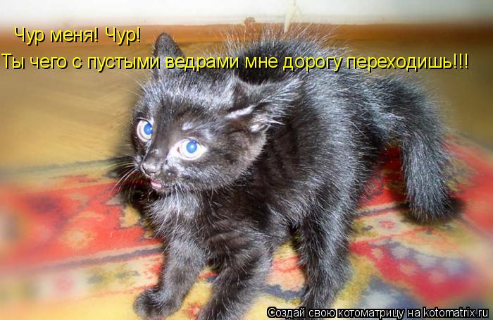 Чур меня! Чур! Ты чего с пустыми ведрами мне дорогу переходишь!!!... Котоматрица: Чур меня! Чур! Ты чего с пустыми ведрами мне дорогу переходишь!!!