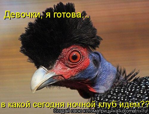Девочки, я готова... в какой сегодня ночной клуб идем???... Котоматрица: Девочки, я готова... в какой сегодня ночной клуб идем???