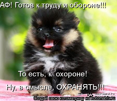 АФ! Готов к труду и обороне!!! То есть, к охороне! Ну, в смысле, ОХРАНЯТЬ!!!... Котоматрица: АФ! Готов к труду и обороне!!! То есть, к охороне! Ну, в смысле, ОХРАНЯТЬ!!!