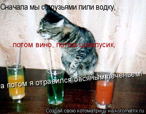 Анекдот отравились печеньками Анекдот отравились печеньками