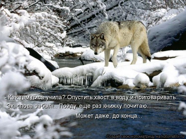 - Как там лиса учила? Опустить хвост в воду и приговаривать... Эх, слова забыл!.. Пойду, еще раз книж... Котоматрица: - Как там лиса учила? Опустить хвост в воду и приговаривать... Эх, слова забыл!.. Пойду, еще раз книжку почитаю. Может даже, до конца...