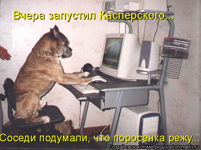 Вчера запустил Касперского... Соседи подумали, что поросенка режу...... Котоматрица: Вчера запустил Касперского... Соседи подумали, что поросенка режу...