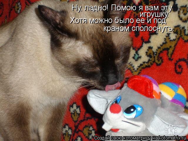 Ну, ладно! Помою я вам эту игрушку. Хотя можно было ее и под краном сполоснуть.... Котоматрица: Ну, ладно! Помою я вам эту игрушку. Хотя можно было ее и под краном сполоснуть.
