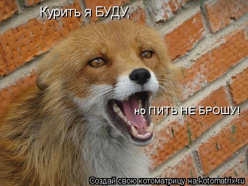 Бросить пить придумать предлог