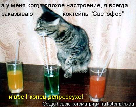 а у меня когда плохое настроение, я всегда заказываю коктейль "Светофор" и все ! конец депрессухе!... Котоматрица: а у меня когда плохое настроение, я всегда заказываю коктейль "Светофор" и все ! конец депрессухе!