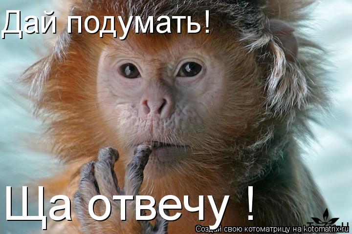 http://kotomatrix.ru/images/lolz/2008/09/19/iy.jpg