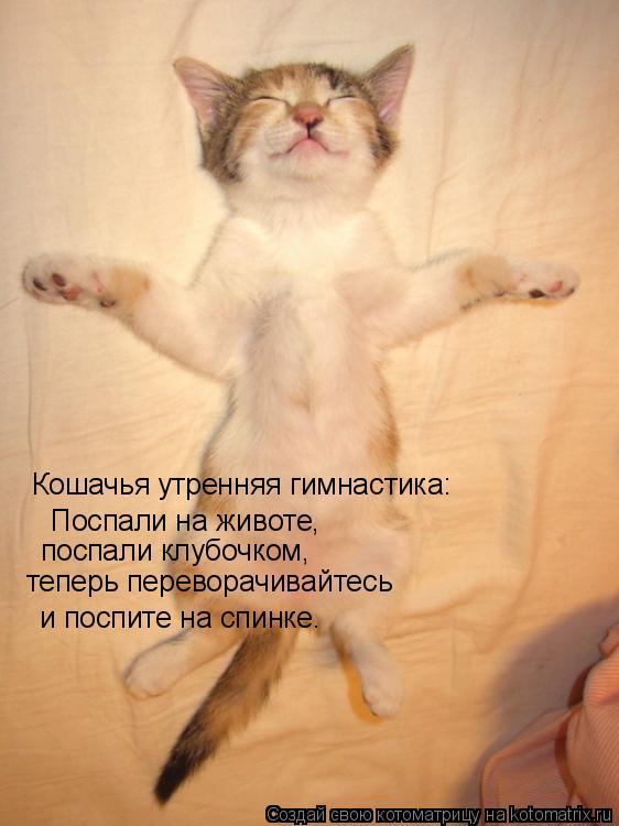 Кошачья утренняя гимнастика: Поспали на животе, поспали клубочком, теперь переворачивайтесь и поспит... Котоматрица: Кошачья утренняя гимнастика: Поспали на животе, поспали клубочком, теперь переворачивайтесь и поспите на спинке.