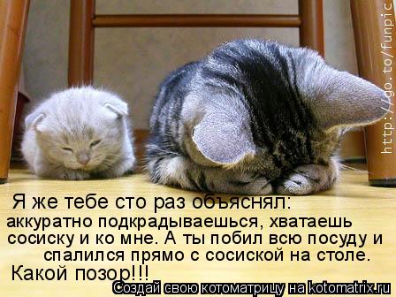 Я же тебе сто раз объяснял: аккуратно подкрадываешься, хватаешь сосиску и ко мне. А ты побил всю посу... Котоматрица: Я же тебе сто раз объяснял: аккуратно подкрадываешься, хватаешь сосиску и ко мне. А ты побил всю посуду и спалился прямо с сосиской на столе.