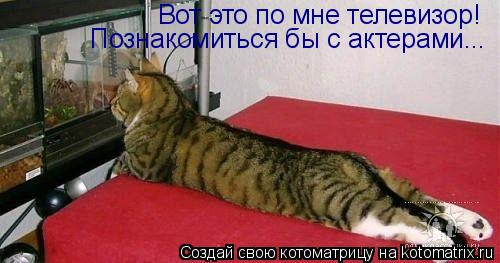Вот это по мне телевизор! Познакомиться бы с актерами...... Котоматрица: Вот это по мне телевизор! Познакомиться бы с актерами...