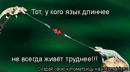 не всегда живёт труднее!!! Тот, у кого язык длиннее... Котоматрица: не всегда живёт труднее!!! Тот, у кого язык длиннее