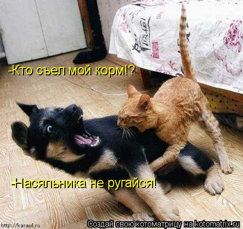 -Насяльника не ругайся! -Кто съел мой корм!?... Котоматрица: -Насяльника не ругайся! -Кто съел мой корм!?