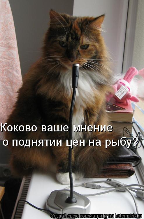 Коково ваше мнение о поднятии цен на рыбу?... Котоматрица: Коково ваше мнение о поднятии цен на рыбу?