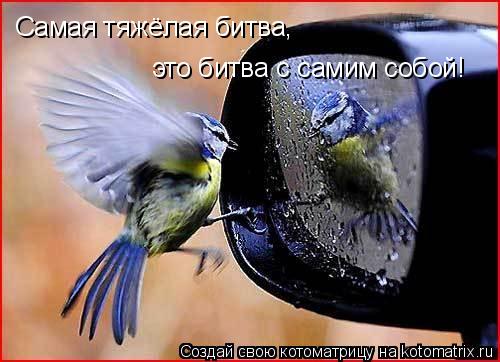 Самая тяжёлая битва, это битва с самим собой!... Котоматрица: Самая тяжёлая битва, это битва с самим собой!