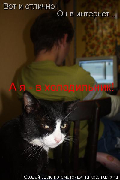 Вот и отлично! Он в интернет... А я - в холодильник!... Котоматрица: Вот и отлично! Он в интернет... А я - в холодильник!