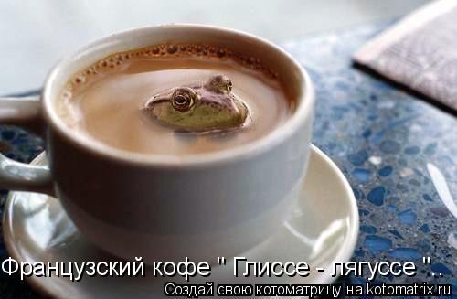 Котоматрица: Французский кофе " Глиссе - лягуссе "..