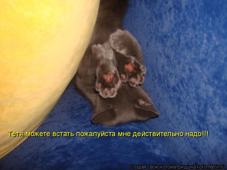 Тётя можете встать пожалуйста мне действительно надо!!!... Котоматрица: Тётя можете встать пожалуйста мне действительно надо!!!