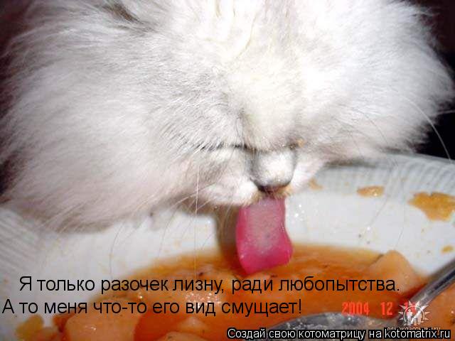 Я только разочек лизну, ради любопытства. А то меня что-то его вид смущает!... Котоматрица: Я только разочек лизну, ради любопытства. А то меня что-то его вид смущает!
