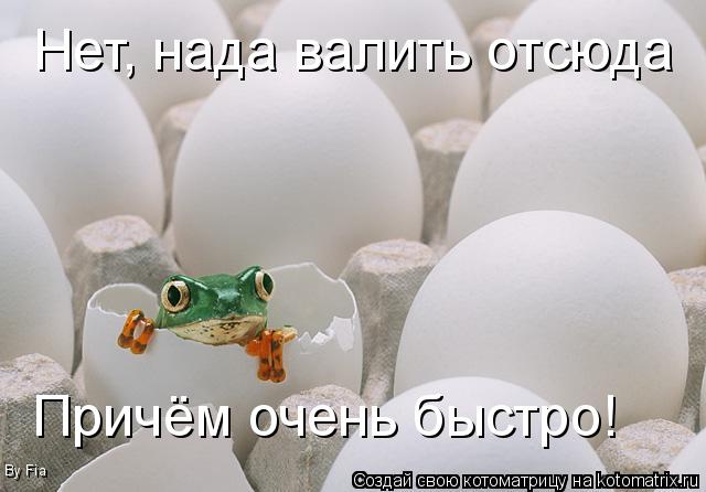 Нет, нада валить отсюда Причём очень быстро! By Fia... Котоматрица: Нет, нада валить отсюда Причём очень быстро! By Fia