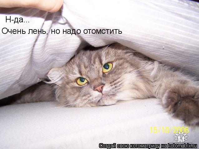 Н-да... Очень лень, но надо отомстить... Котоматрица: Н-да... Очень лень, но надо отомстить