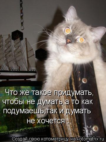 Что же такое придумать, чтобы не думать,а то как подумаешь,так и думать не хочется .... Котоматрица: Что же такое придумать, чтобы не думать,а то как подумаешь,так и думать не хочется .