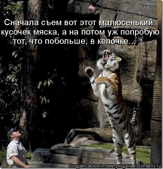 Сначала съем вот этот малюсенький кусочек мяска, а на потом уж попробую тот, что побольше, в кепочке... Котоматрица: Сначала съем вот этот малюсенький кусочек мяска, а на потом уж попробую тот, что побольше, в кепочке...