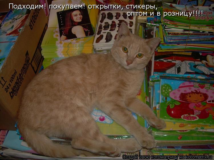 Подходим! покупаем! открытки, стикеры, оптом и в розницу!!!!... Котоматрица: Подходим! покупаем! открытки, стикеры, оптом и в розницу!!!!