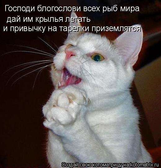 Господи блогослови всех рыб мира дай им крылья летать и привычку на тарелки приземлятся... Котоматрица: Господи блогослови всех рыб мира дай им крылья летать и привычку на тарелки приземлятся