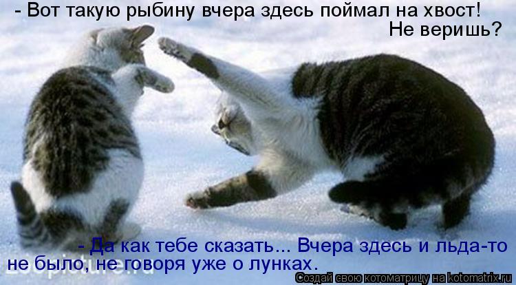 - Вот такую рыбину вчера здесь поймал на хвост! Не веришь? - Да как тебе сказать... Вчера здесь и льд... Котоматрица: - Вот такую рыбину вчера здесь поймал на хвост! Не веришь? - Да как тебе сказать... Вчера здесь и льда-то не было, не говоря уже о лунках.