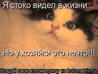 Я стоко видел в жизни... Но у хозяйки это нечто!!!... Котоматрица: Я стоко видел в жизни... Но у хозяйки это нечто!!!