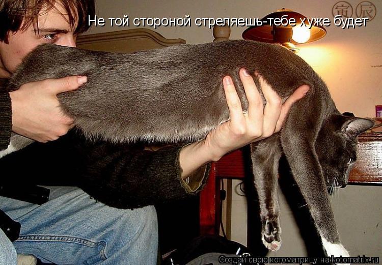 Не той стороной стреляешь-тебе хуже будет... Котоматрица: Не той стороной стреляешь-тебе хуже будет