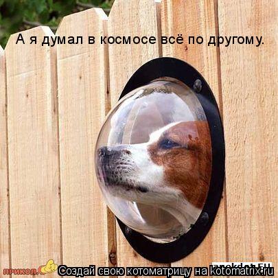 А я думал в космосе всё по другому.... Котоматрица: А я думал в космосе всё по другому.