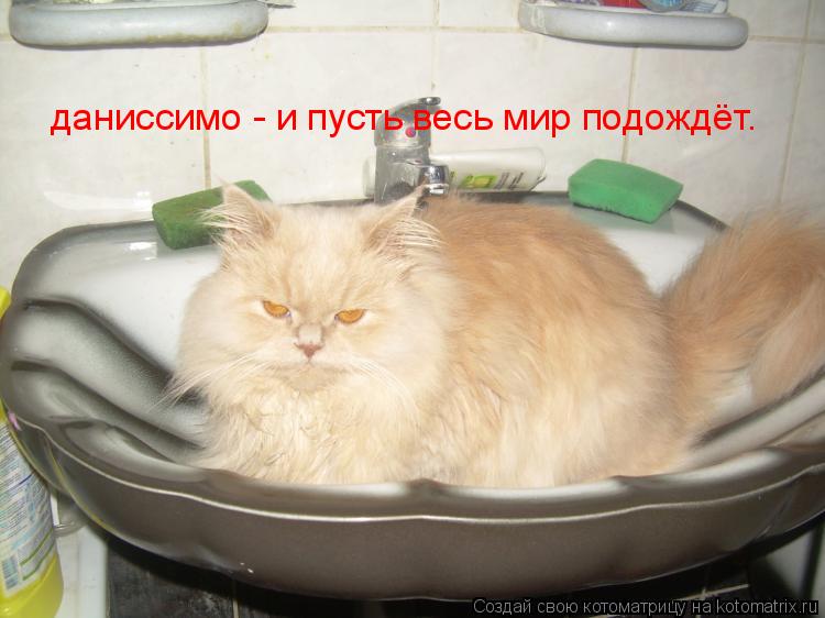 даниссимо - и пусть весь мир подождёт.... Котоматрица: даниссимо - и пусть весь мир подождёт.