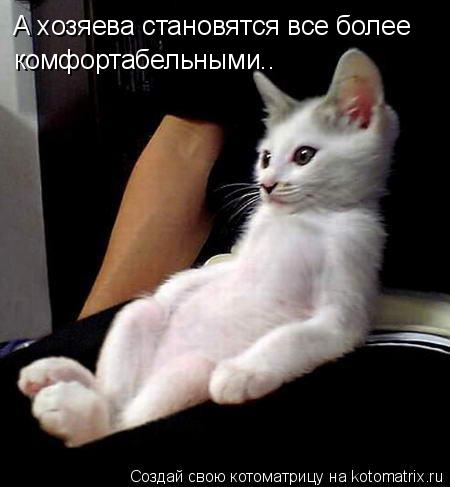А хозяева становятся все более комфортабельными..... Котоматрица: А хозяева становятся все более комфортабельными..