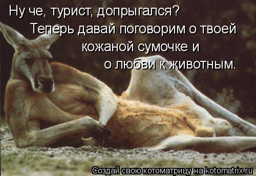 Ну че, турист, допрыгался? Теперь давай поговорим о твоей кожаной сумочке и о любви к животным.... Котоматрица: Ну че, турист, допрыгался? Теперь давай поговорим о твоей кожаной сумочке и о любви к животным.