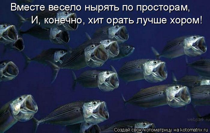 Вместе весело нырять по просторам, И, конечно, хит орать лучше хором!... Котоматрица: Вместе весело нырять по просторам, И, конечно, хит орать лучше хором!