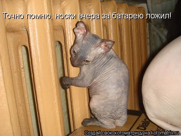 Точно помню, носки вчера за батарею ложил!... Котоматрица: Точно помню, носки вчера за батарею ложил!